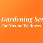 NDIS Gardening Services for Mental Wellness