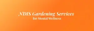 NDIS Gardening Services for Mental Wellness