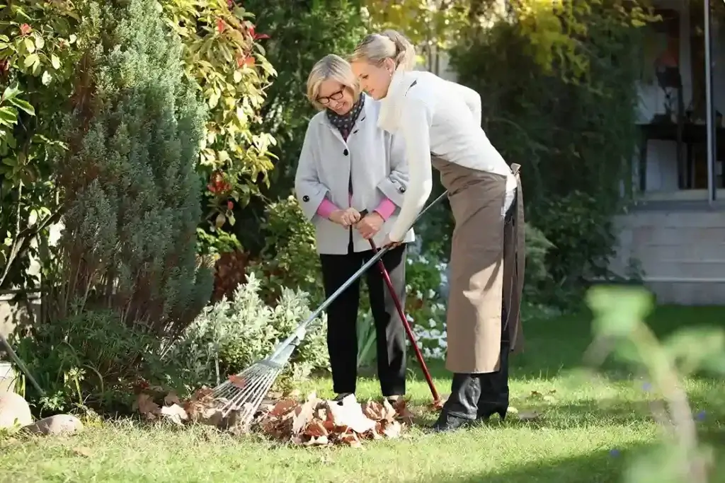 gardening and lawn mowing services