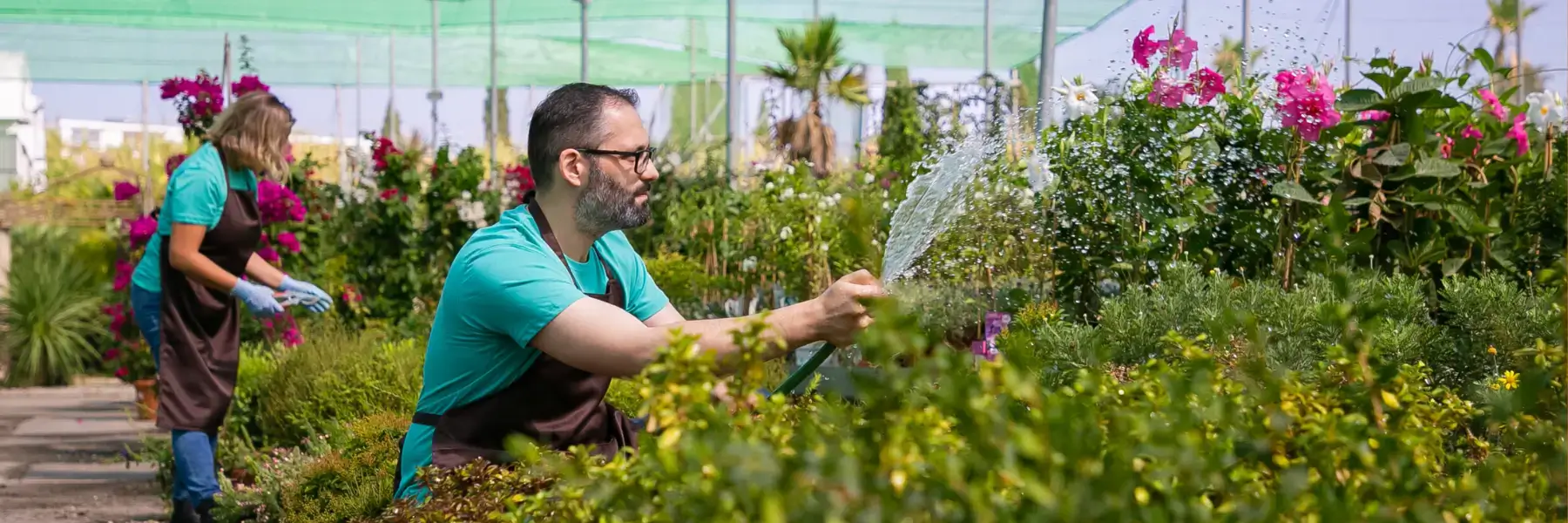 NDIS-compliant gardening and maintenance services