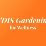 NDIS Gardening for Wellness in Melbourne